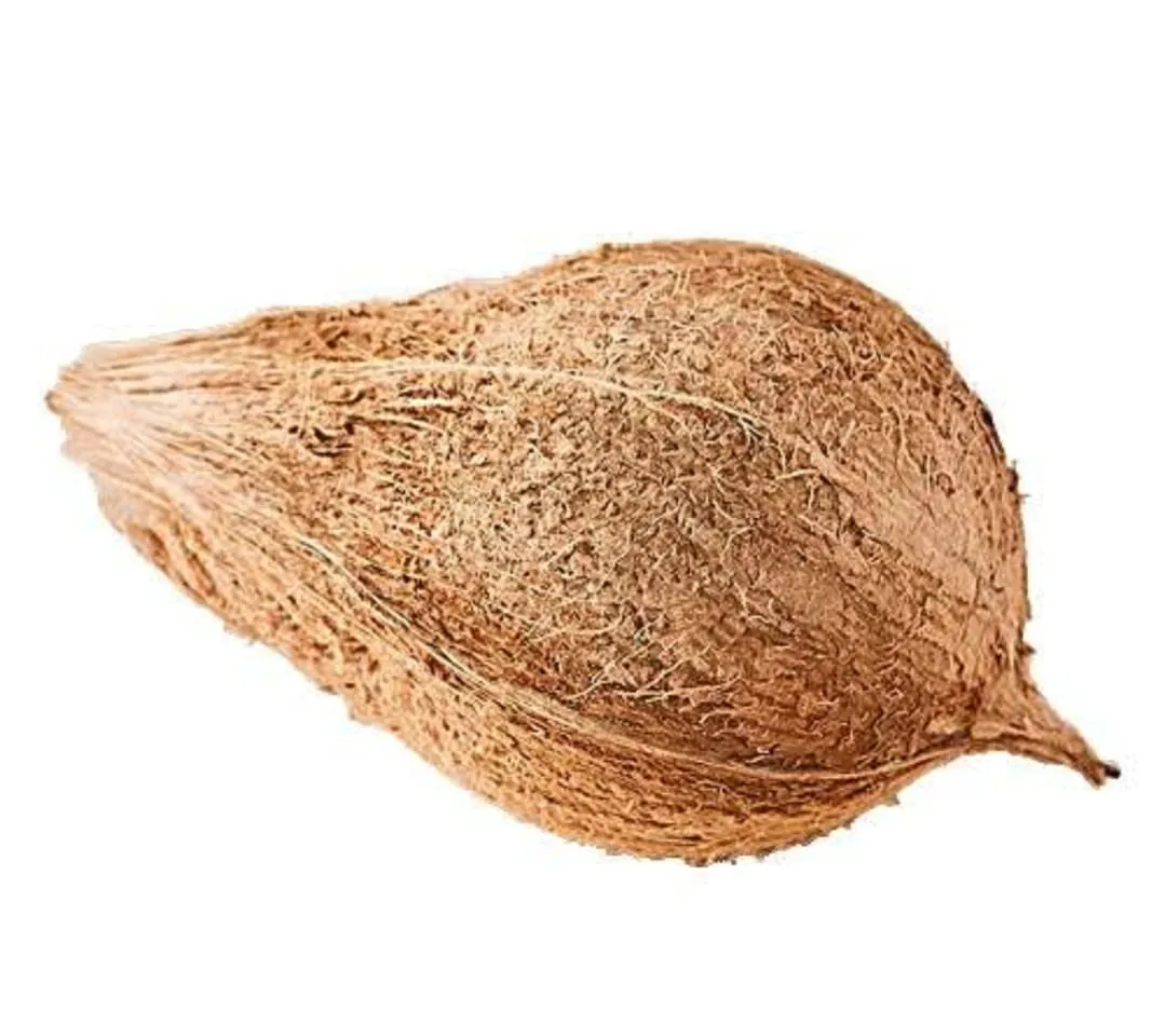 Dry Coconut